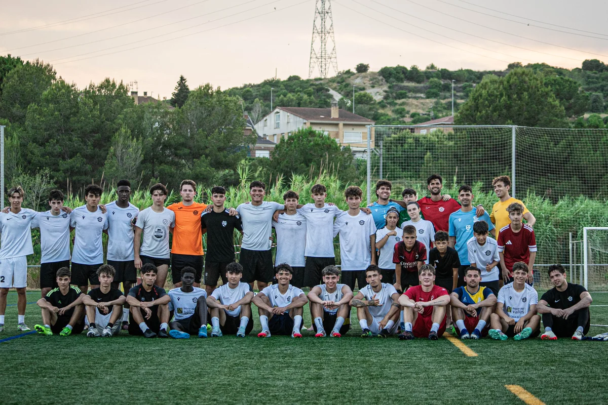 Categorías Formativas