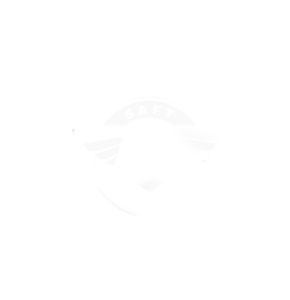 SAFT Academy Logo